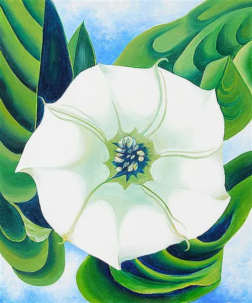 Georgia O’Keeffe, Jimson Weed (Boru Çiçeği) (1932)
