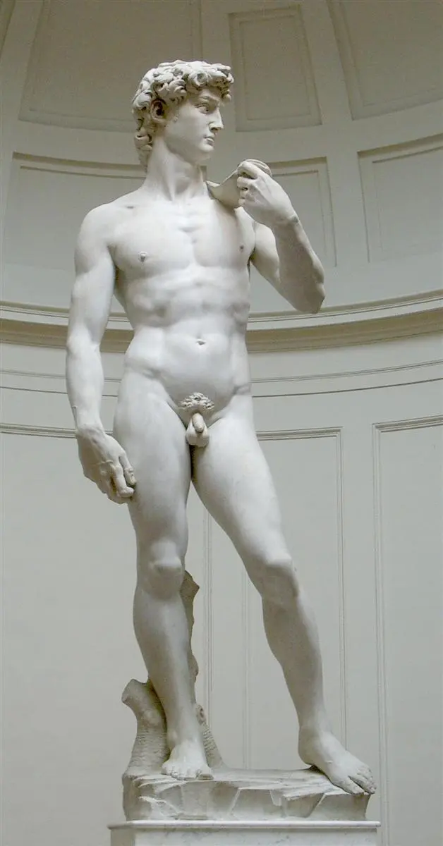 Michelangelo, Davut (1501–1504)