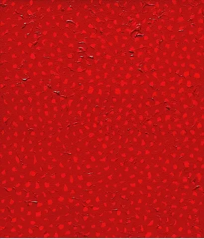 Yayoi Kusama, Sonsuzluk Ağı (1998)